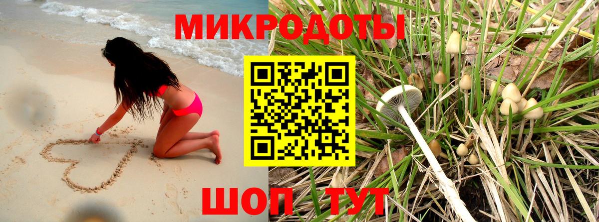 Псилоцибиновые грибы ЛСД Ковров